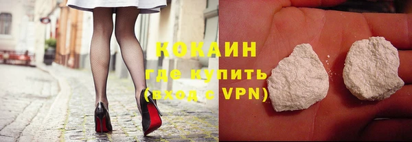 сатива Россошь