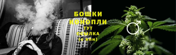 spice Галич
