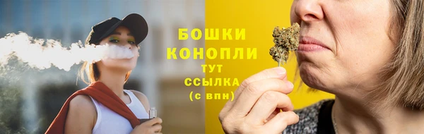 сатива Россошь