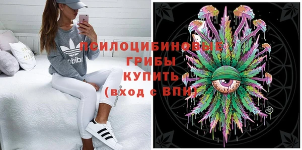 прущая мука Абаза