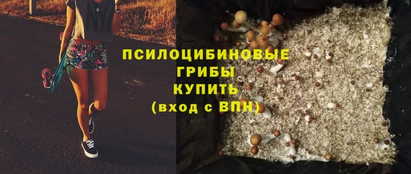 прущая мука Абаза