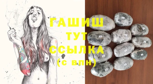 сатива Россошь