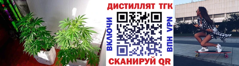 Дистиллят ТГК гашишное масло  omg сайт  Краснодар 