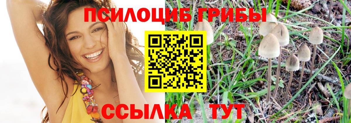 Краснодар  Псилоцибиновые грибы ЛСД  наркошоп  Вход с VPN  Галлюциногенные грибы GOLDEN TEACHER 